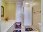 Master Bath with Separate Tub and Shower at 503 North Shore Place